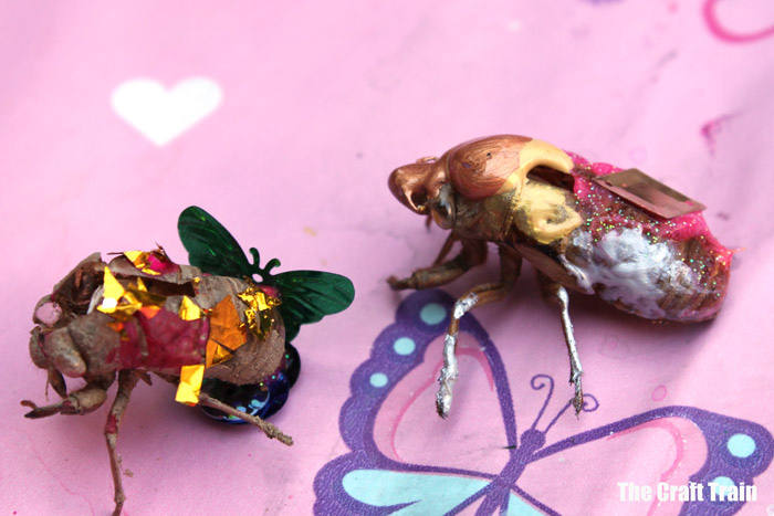 cicada shell art – colourfully painted and decorated cicada shells