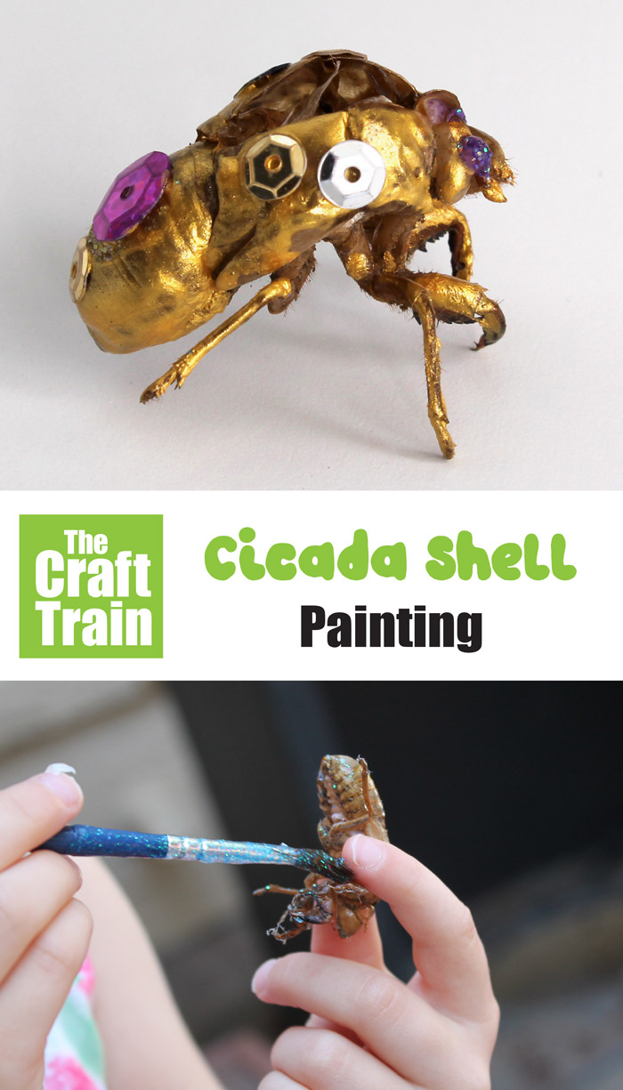 cicada shell art for kids