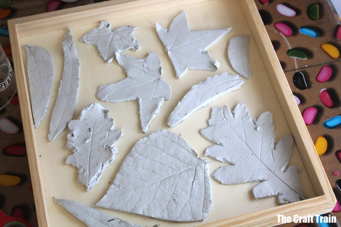 clay leaves drying out on a tray