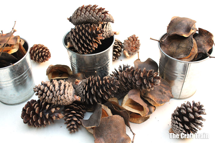 Pine cones and Jacaranda seed pods for Christmas crafting