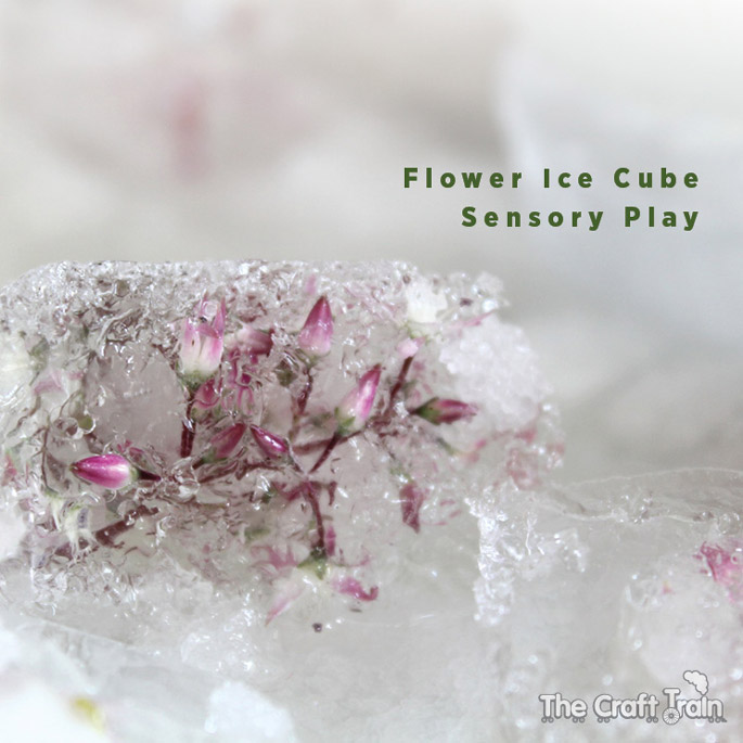 flower-ice-cubes-header
