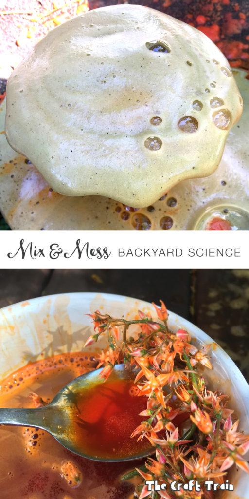 mix and mess backyard science play