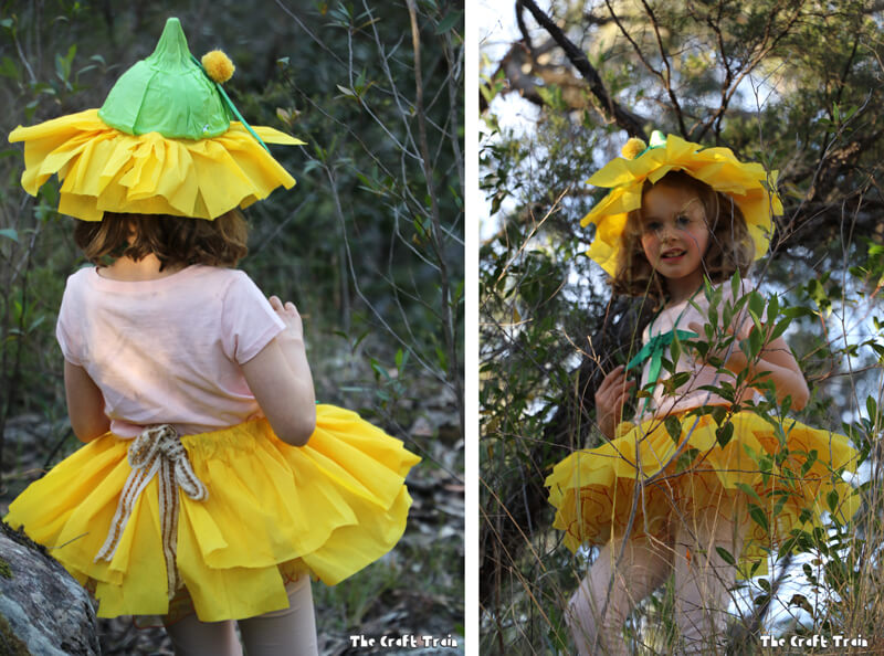 Easy gumnut baby costume from Snugglepot and Cuddlepie by May Gibbs