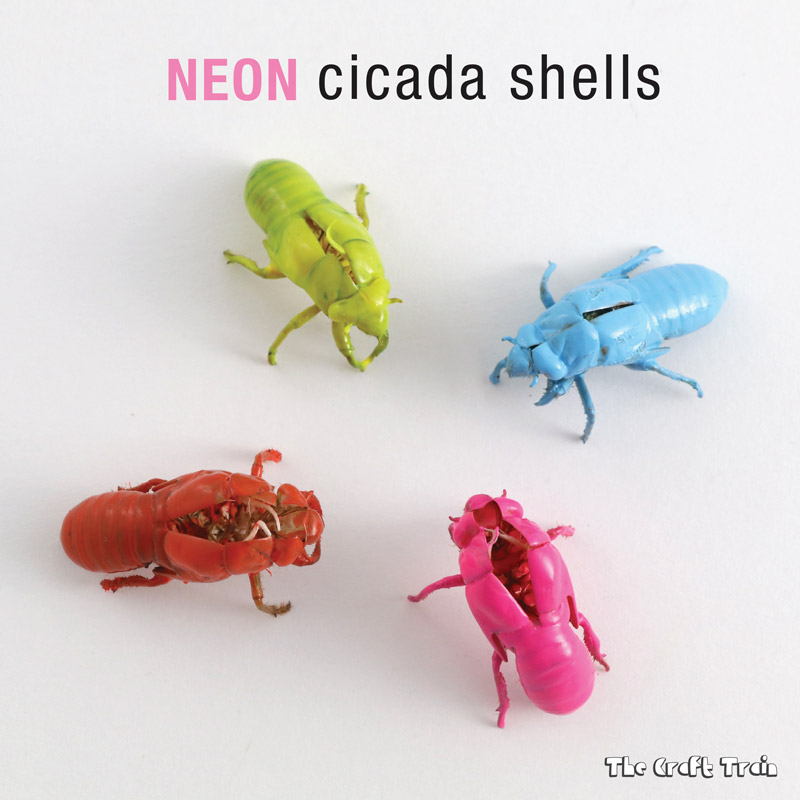 Neon cicada shells, a simple nature craft idea