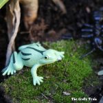 Frog habitat garden, make a frog garden with rocks, moss, water, succulents and a few plastic frogs to help kids learn about frog habitats #lifecycles. It also makes afun small world for play #frogs #smallworld #animalhabitats #kidsgardening