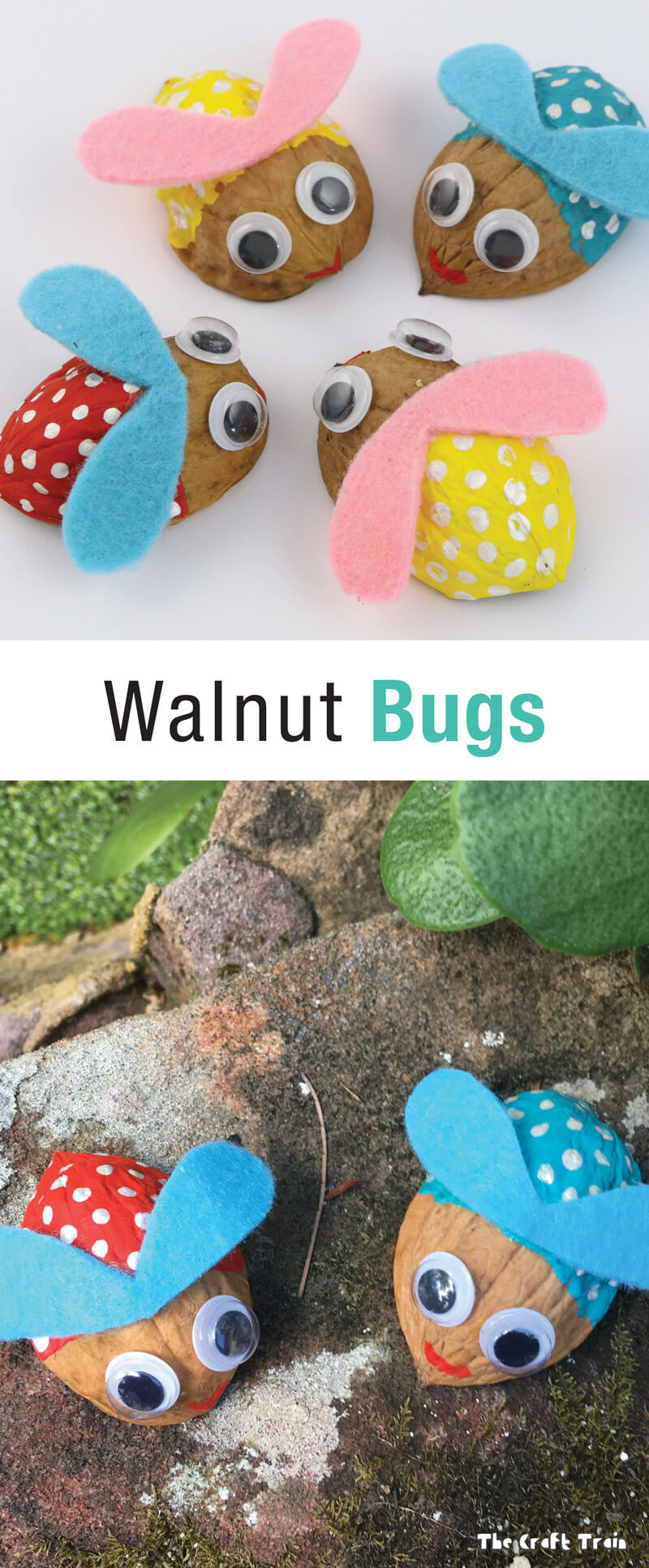 Walnut bugs, an easy bug craft for kids with step by step instructions #walnutcraft #bugcraft #spring