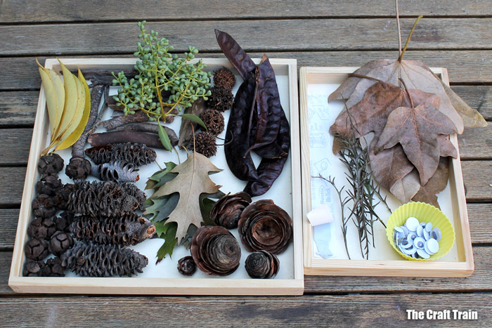 Nature craft construction kit made from leaves, sticks, twigs, seed pods, pine cones etc. with blu tack and googly eyes