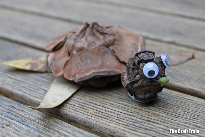 turtle nature craft for kids