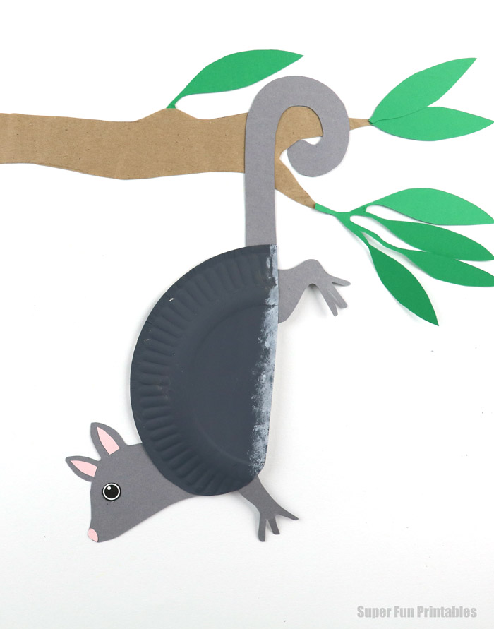 paper plate animal craft for kids - possum based on the Ring Tailed possum species from Australia
