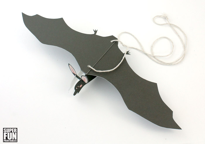 paper bat from top view
