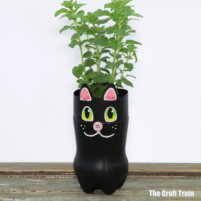 black cat planter