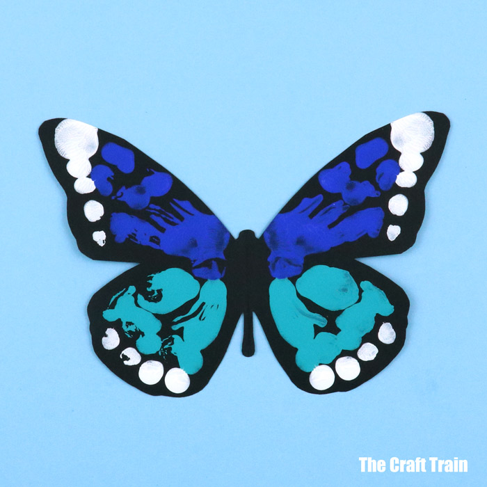 blue morph butterfly artwork