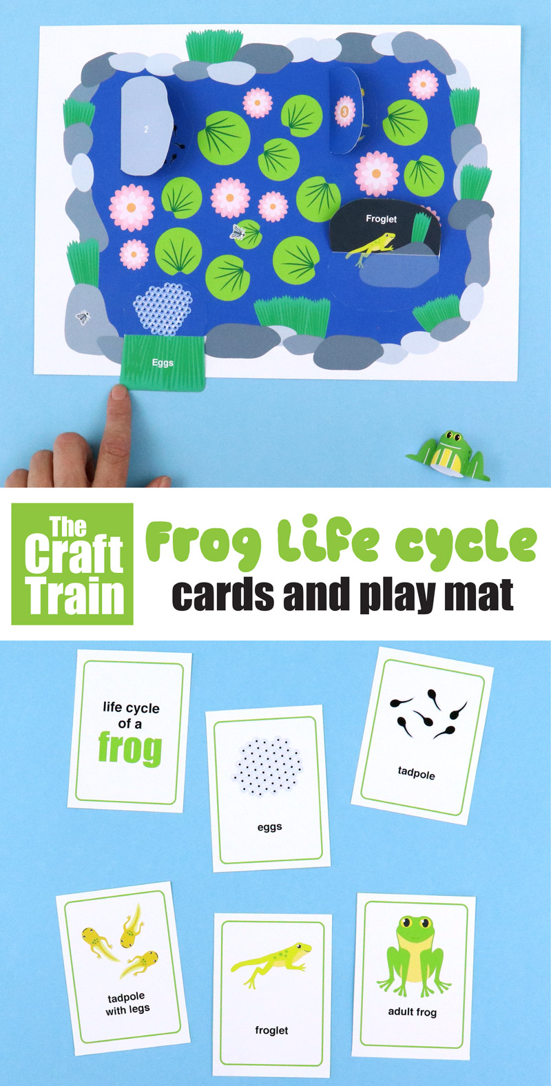 Frog lifecycle printable interactive play mat for kids with an accompanying set of sequence cards