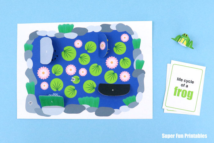frog lifelyle for kids learning resources. Printable play mat with lift-the-flaps, and a set of sequence cards 