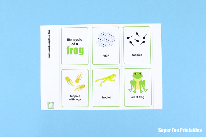 frog cards template