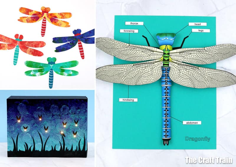 bug crafts for kids featuring dragonfly and firefly