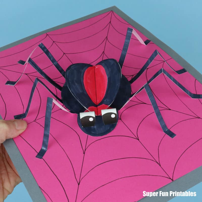 redback spider craft