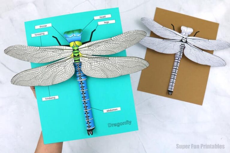 3d Paper Insect 3D paper dragonfly - The Craft Train
