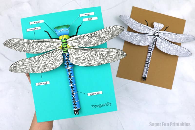 realistic dragonfly craft kids can make from printable template
