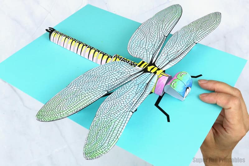 paper dragonfly side view