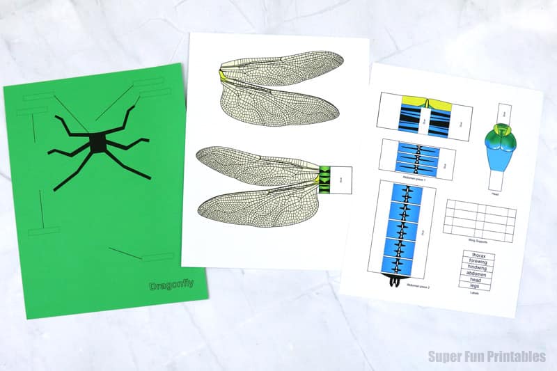 template for printable paper dragonfly craft