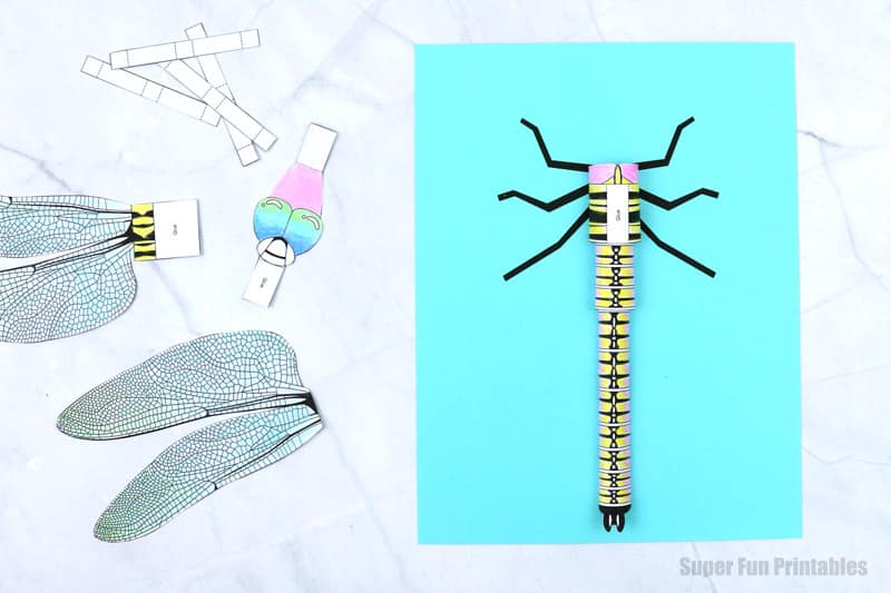 steps for dragonfly paper craft