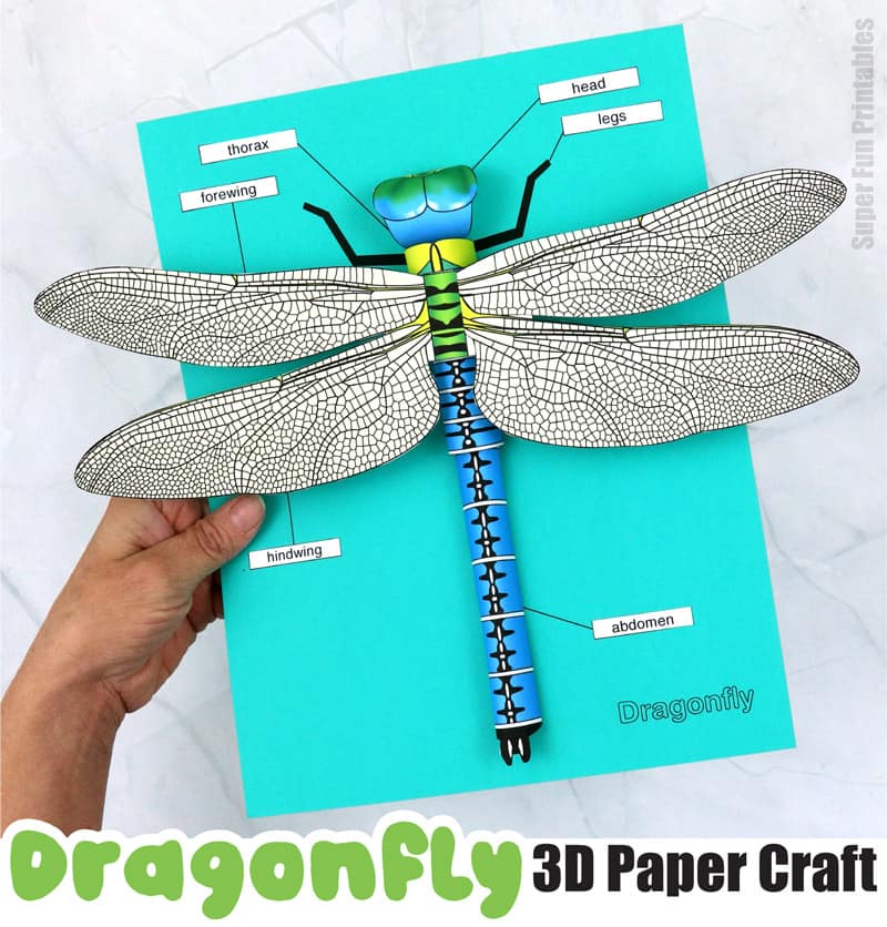 3D paper dragonfly craft printable for kids