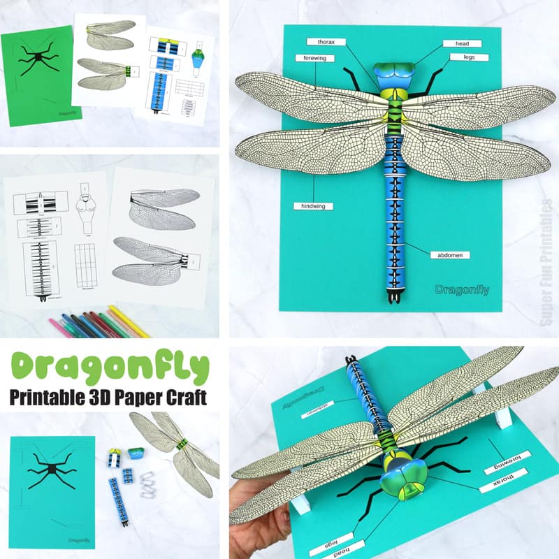 3D paper dragonfly craft