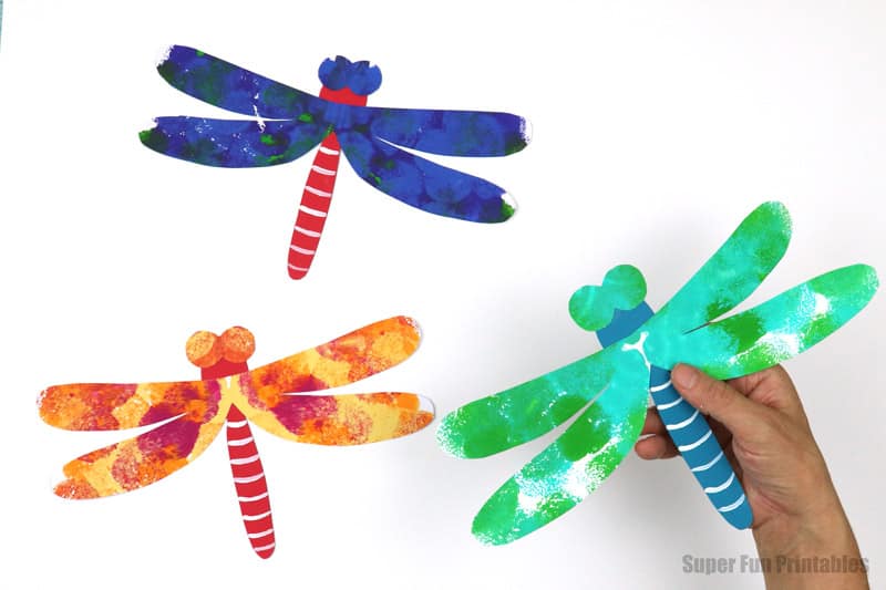 dragonfly craft with squish art