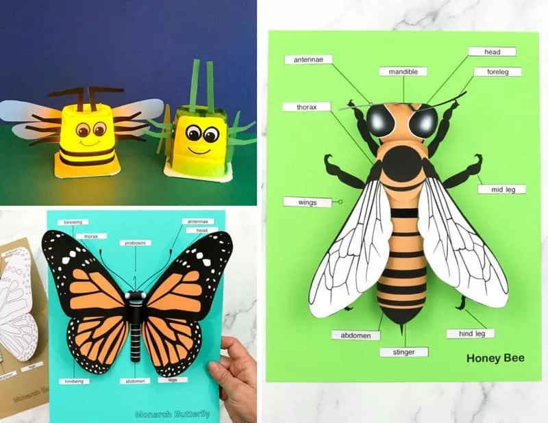 Insect craft ideas
