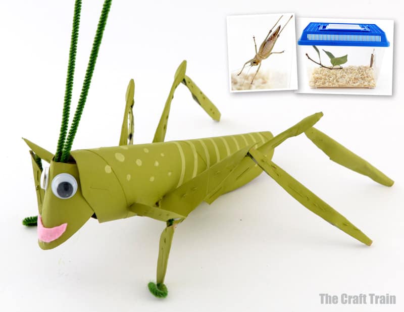 grasshopper craft for kids