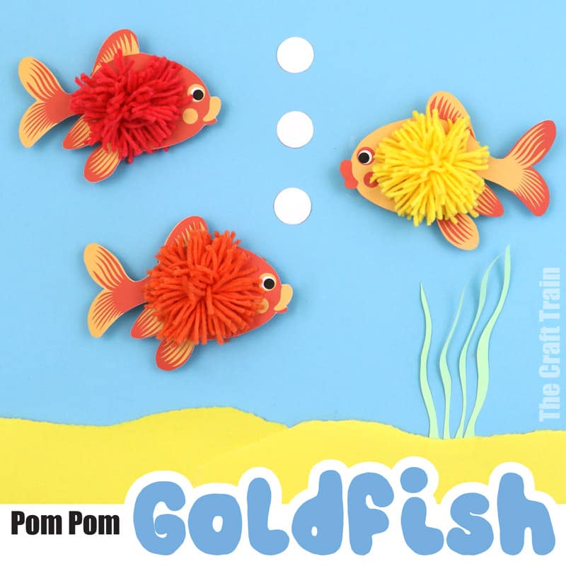 pom pom goldfish
