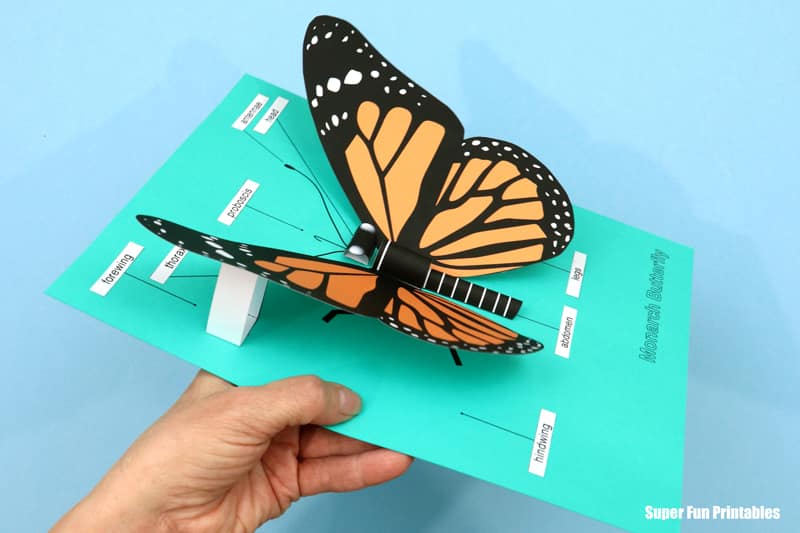 Monarch butterfly 3D papercraft
