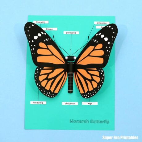 3D monarch butterfly papercraft for kids