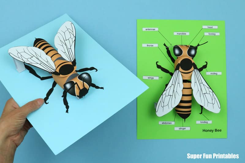bee craft realistic 3D paper model kids can make