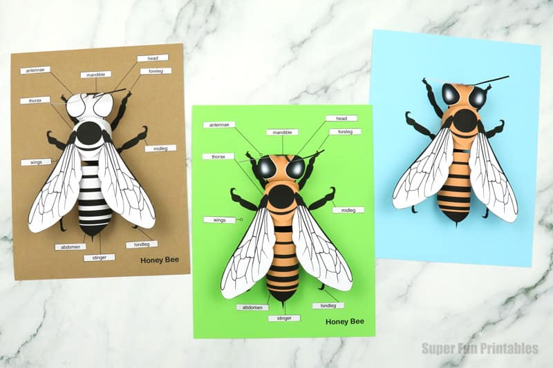 Three bee paper crafts