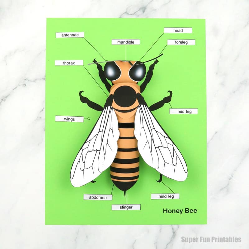 Printable paper bee