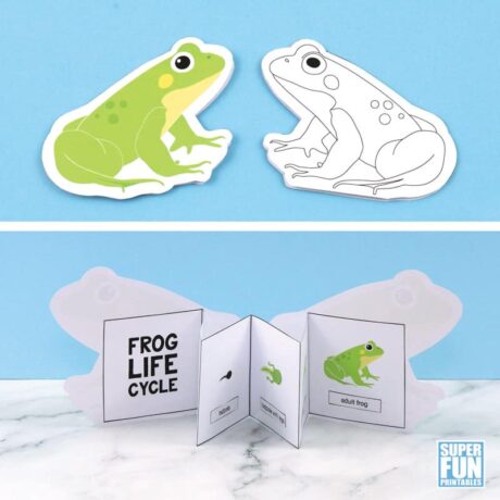 frog lifecycle booklet printable craft for kids