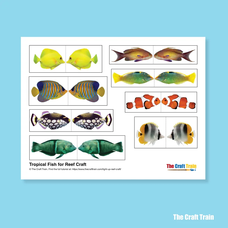 Printable tropical fish template