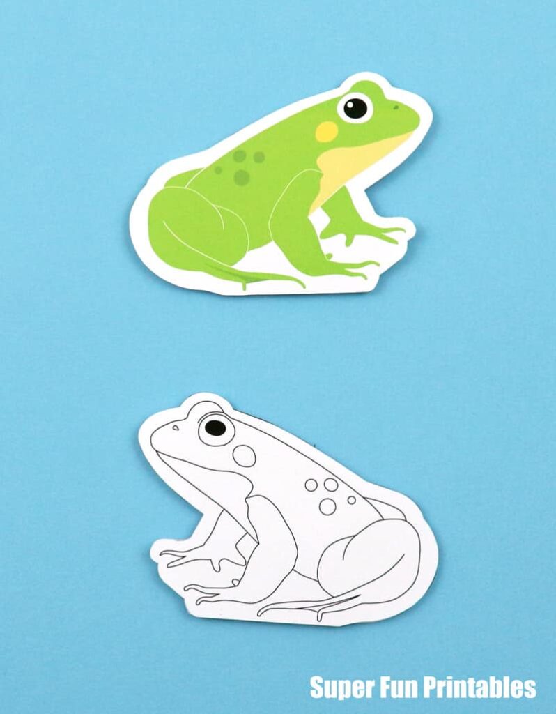 frog lifecycle booklet craft for kids