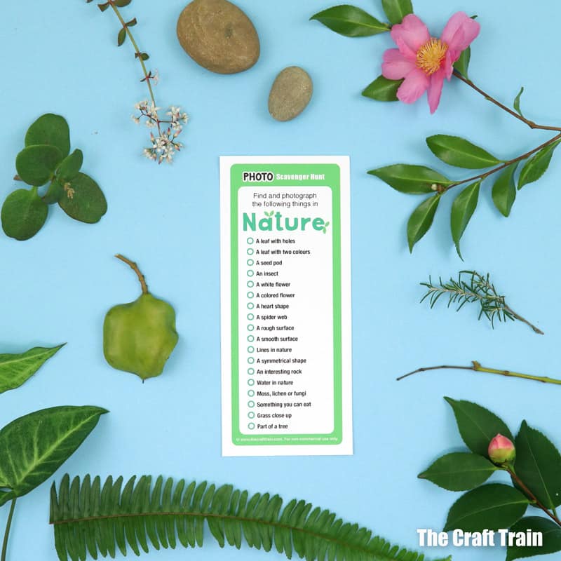 Nature photo scavenger hunt for kids with free printable checklist