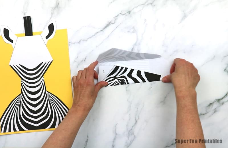 Folding the zebra face