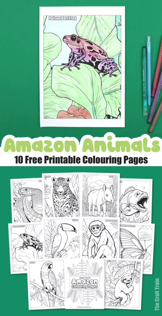 Amazon Animals colouring pages free download