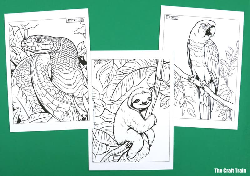 Amazon animals colouring pages