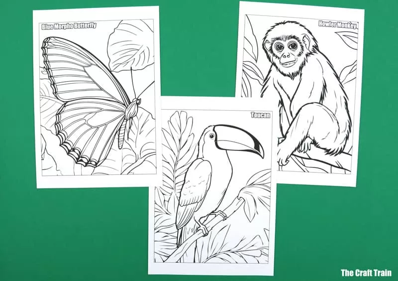 Amazon colouring pages