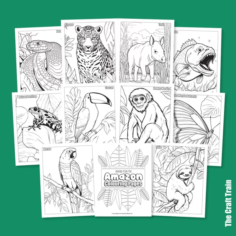 Amazon Animal colouring pages