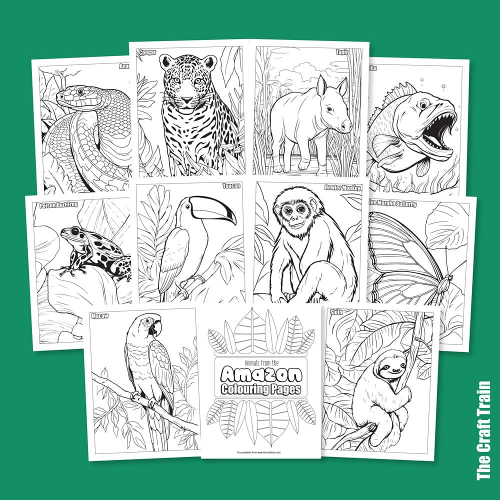 Amazon animal colouring pages — 10 free downloadable coloring pages for kids based on rainforest animals, including anaconda, piranha, toucan, sloth, poison dart frog, howler monkey, cougar and more